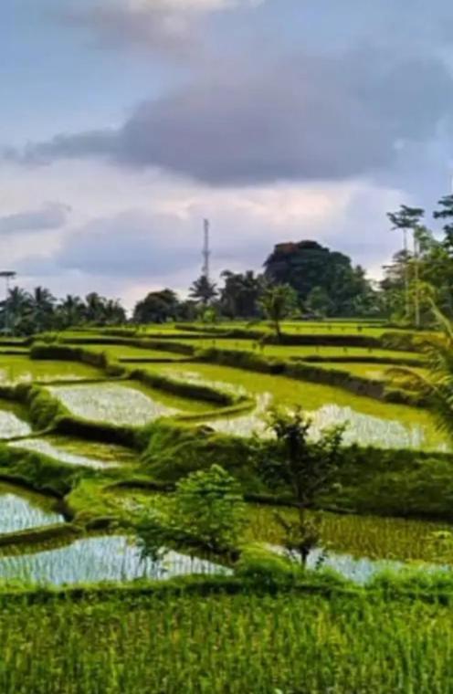 Asan Rinjani Homestay เตเตบาตู ภายนอก รูปภาพ