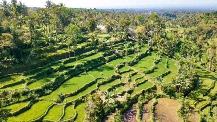 Asan Rinjani Homestay เตเตบาตู ภายนอก รูปภาพ