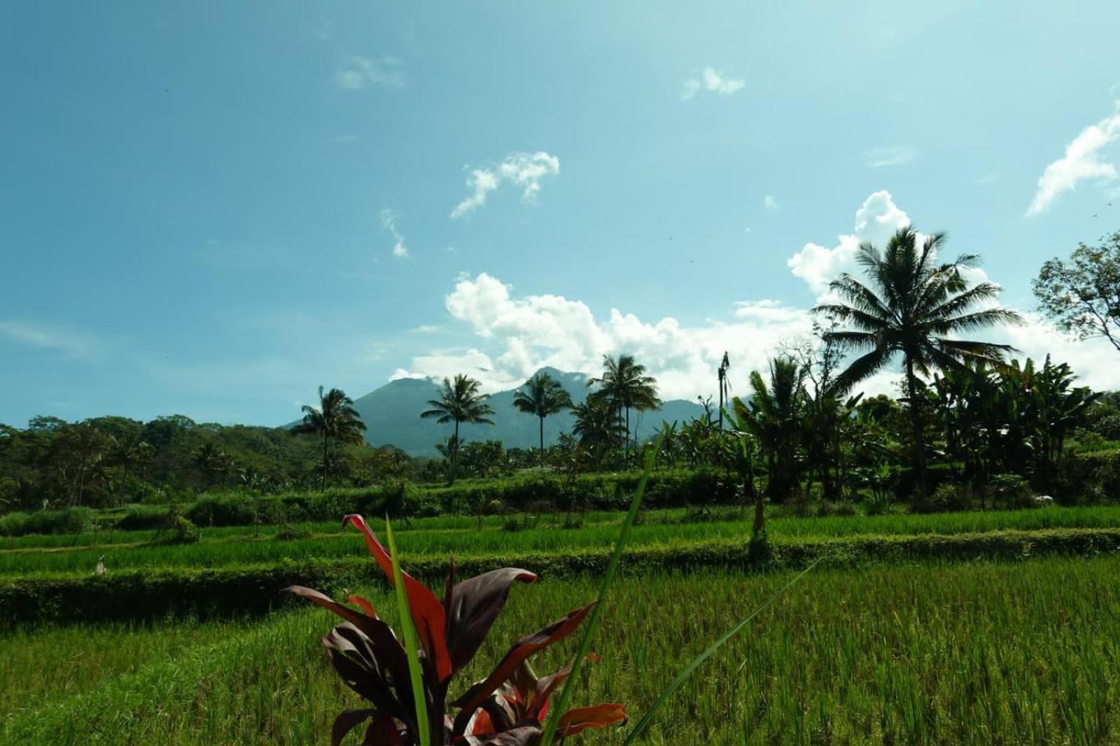 Asan Rinjani Homestay เตเตบาตู ภายนอก รูปภาพ